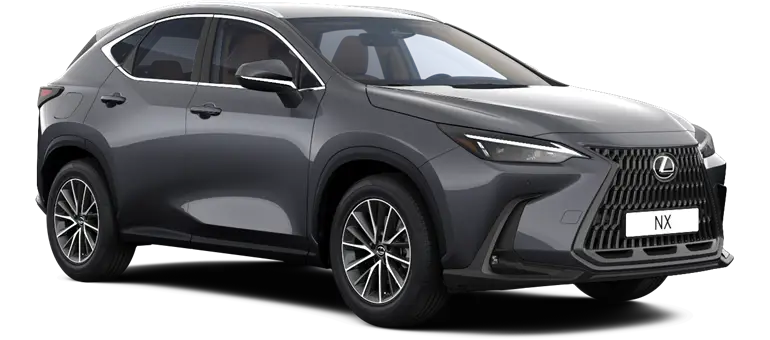NX 300h